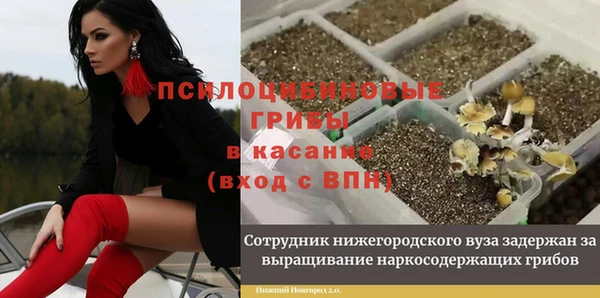 прущие крисы Беломорск
